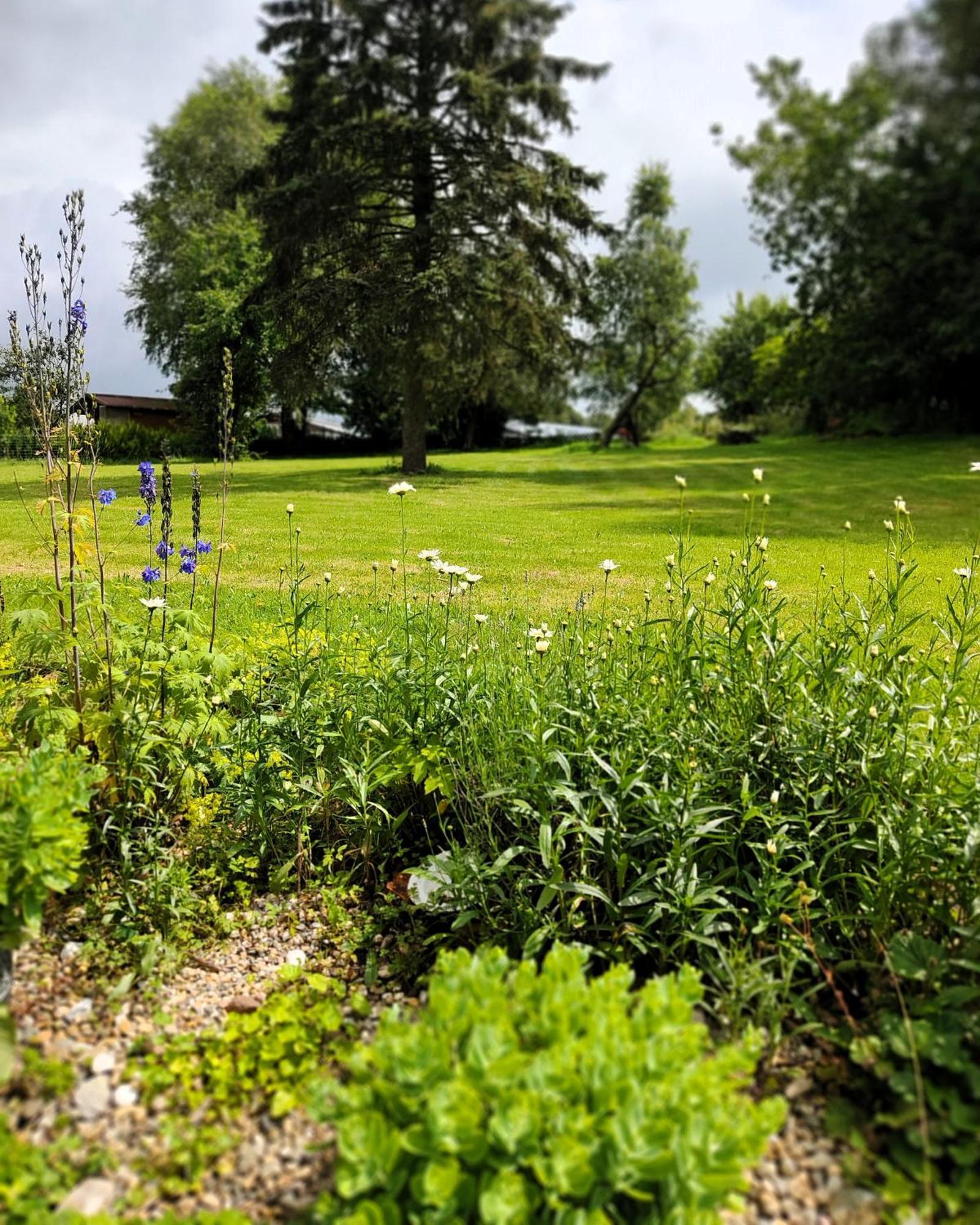 Gruenvogels Landgasthof Zum Gruenen Baum Oberzent Exterior foto