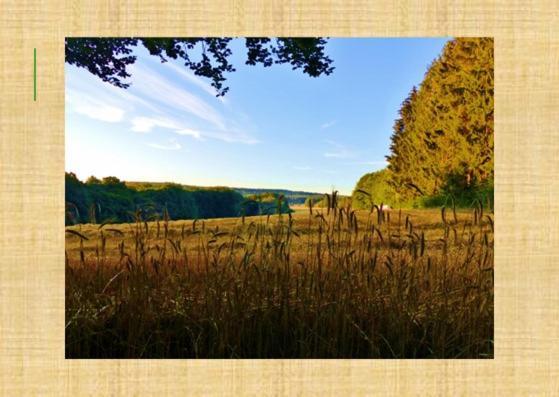 Gruenvogels Landgasthof Zum Gruenen Baum Oberzent Exterior foto