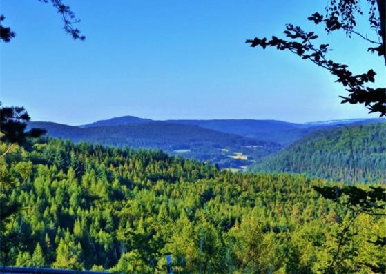 Gruenvogels Landgasthof Zum Gruenen Baum Oberzent Exterior foto